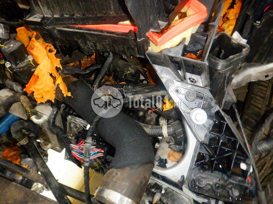 Фото Haval Jolion 196