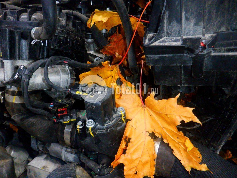 Фото Haval Jolion 204