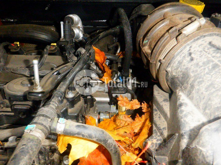 Фото Haval Jolion 206