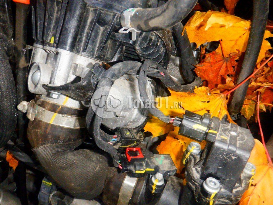 Фото Haval Jolion 214