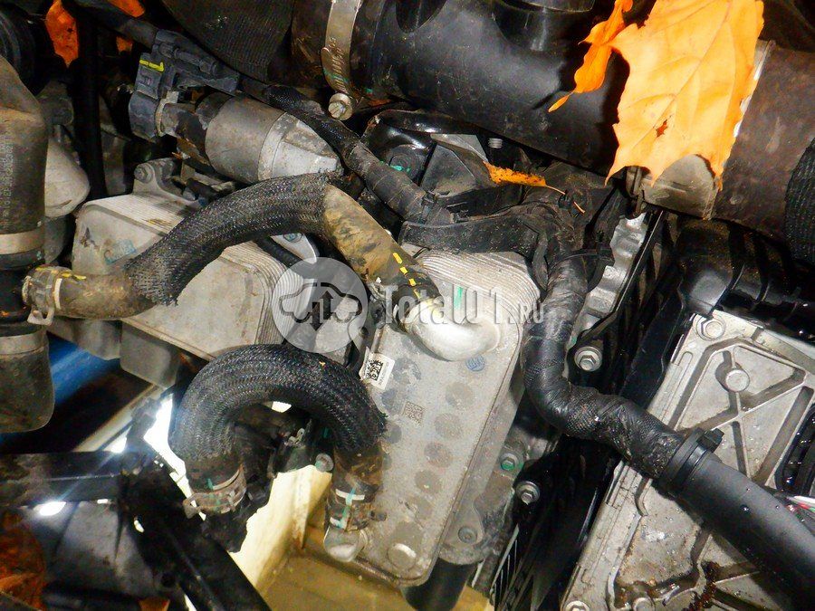 Фото Haval Jolion 216