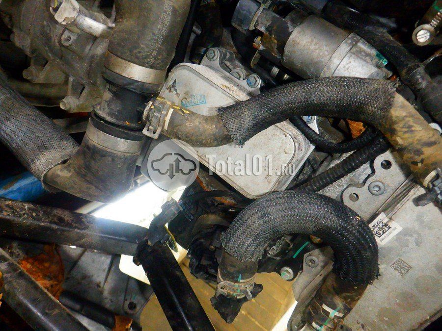 Фото Haval Jolion 218