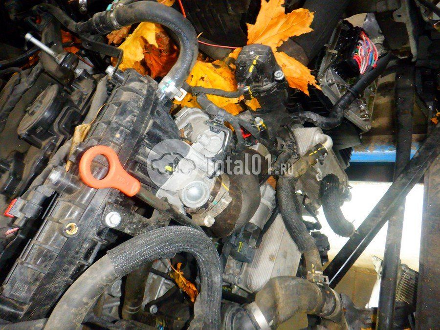 Фото Haval Jolion 244