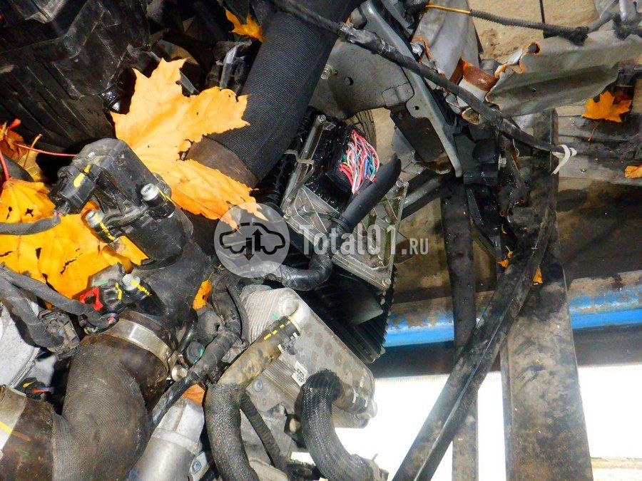 Фото Haval Jolion 246