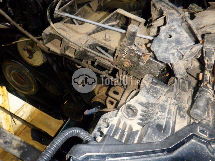 Фото Audi Q8 218