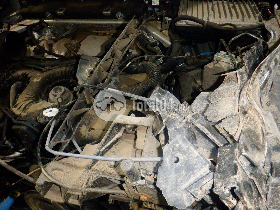 Фото Audi Q8 220