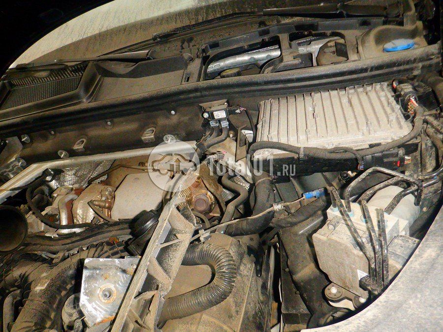 Фото Audi Q8 246