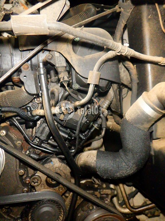 Фото Audi Q8 248