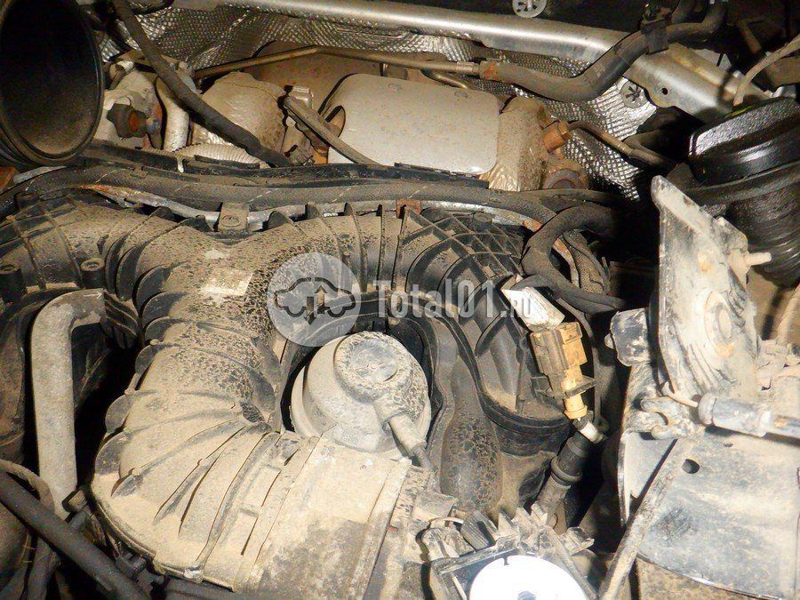 Фото Audi Q8 262