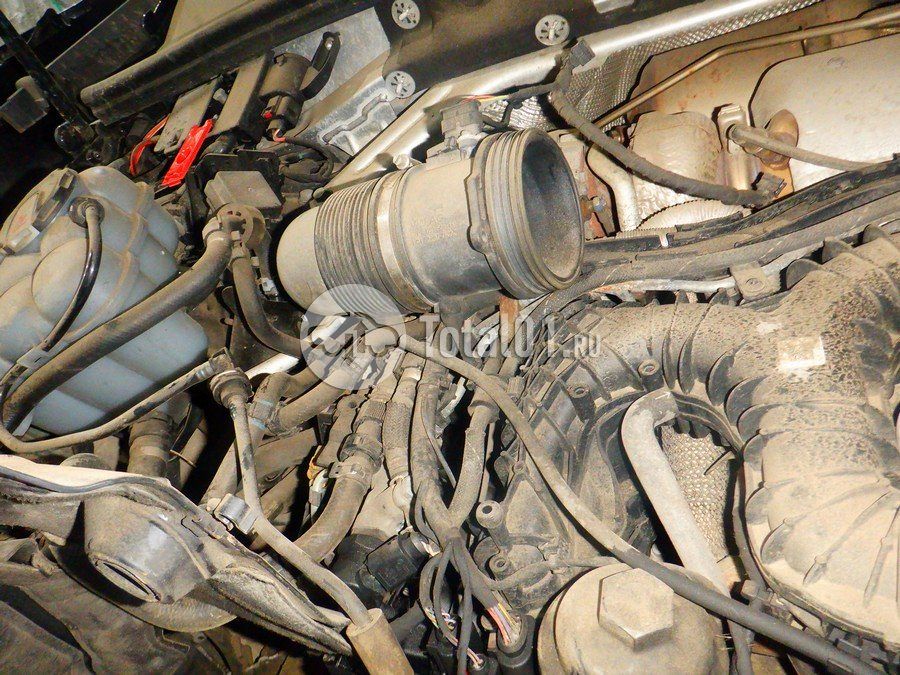 Фото Audi Q8 266