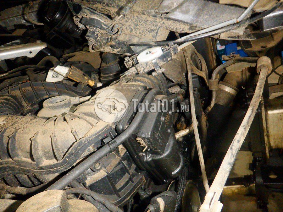 Фото Audi Q8 294