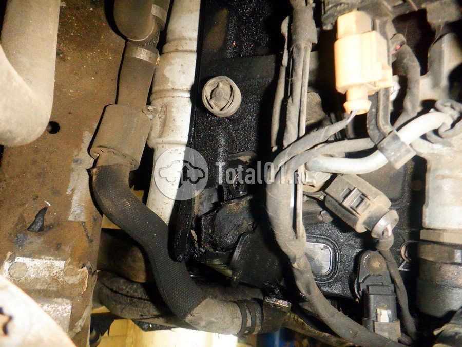 Фото Audi Q8 298