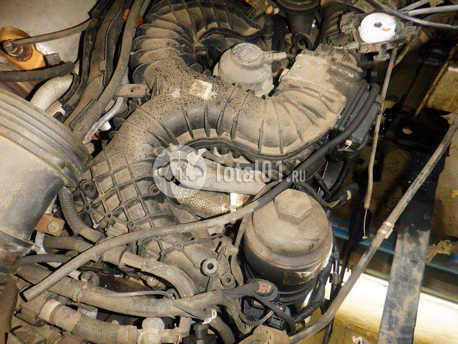 Фото Audi Q8 306