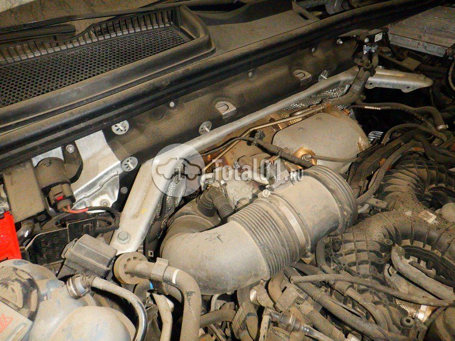 Фото Audi Q8 308