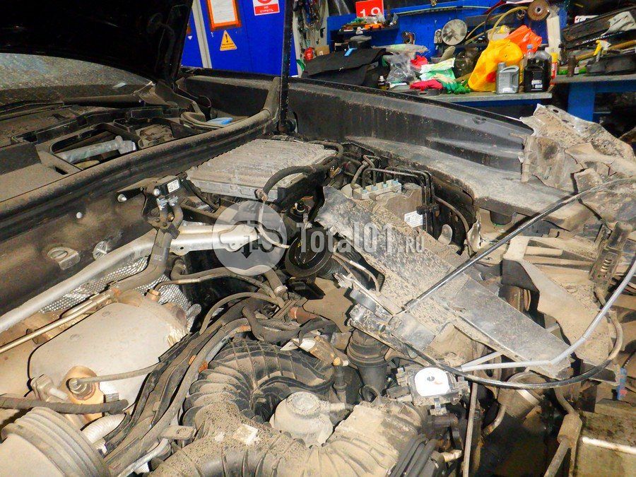 Фото Audi Q8 310