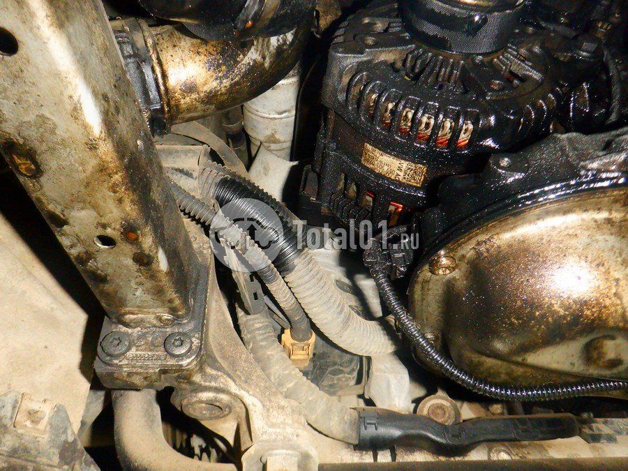 Фото Audi Q8 318