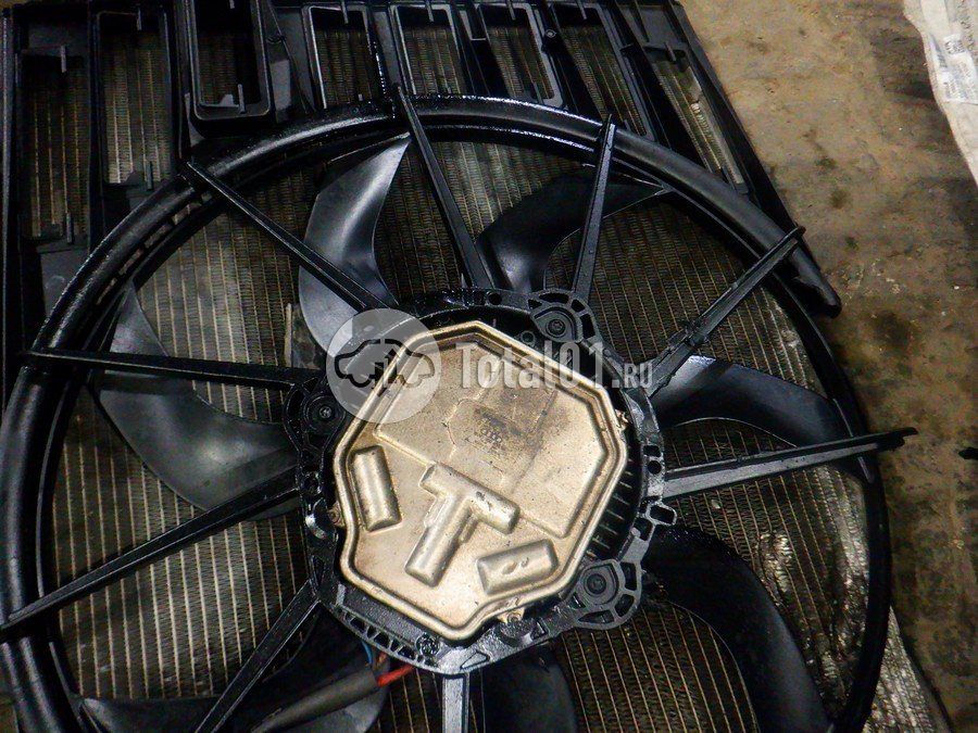 Фото Audi Q8 406