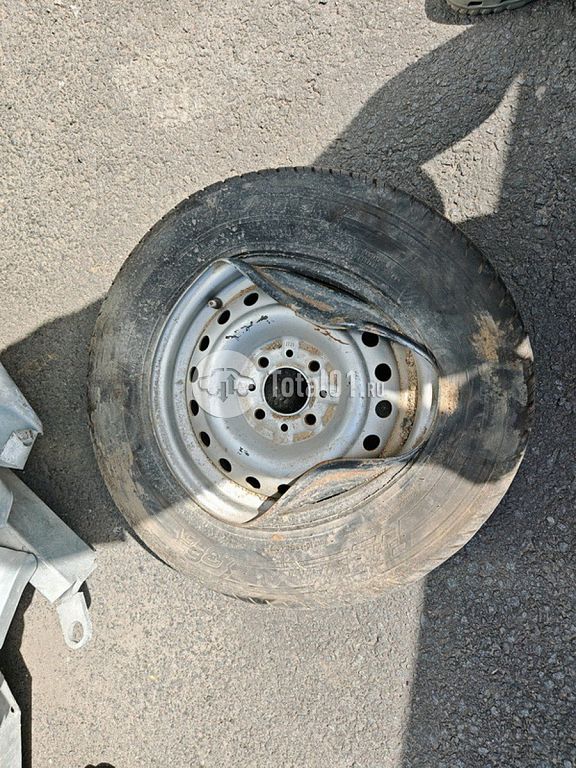 Фото TMDUP другая 38