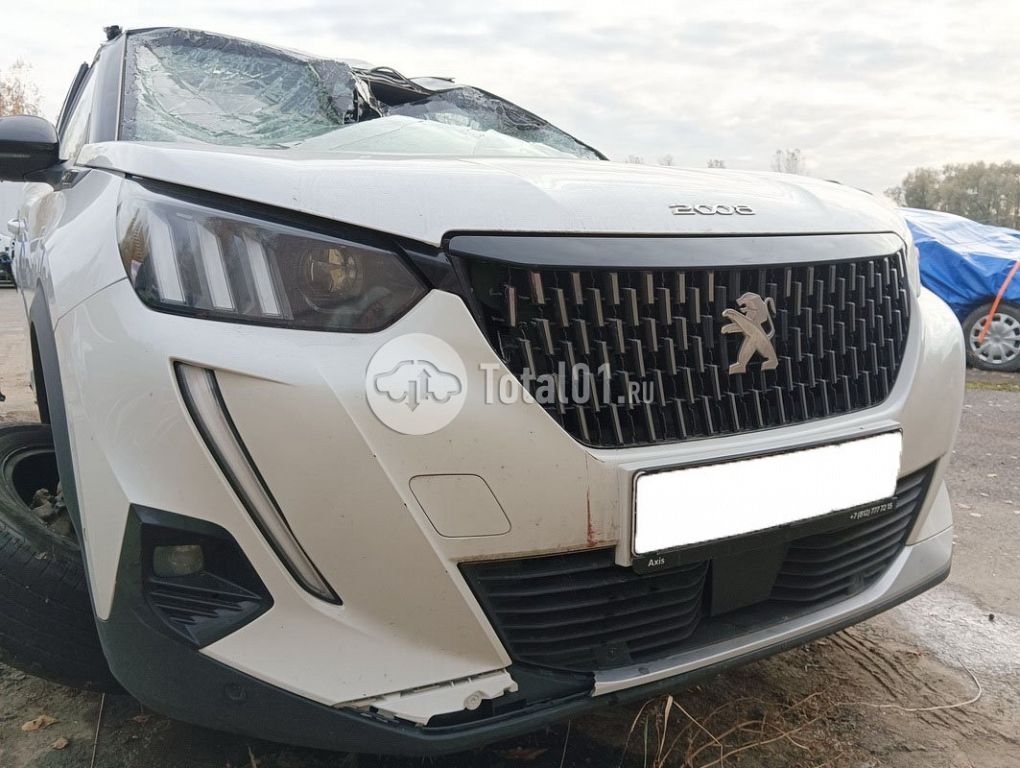 Фото Peugeot 2008 26
