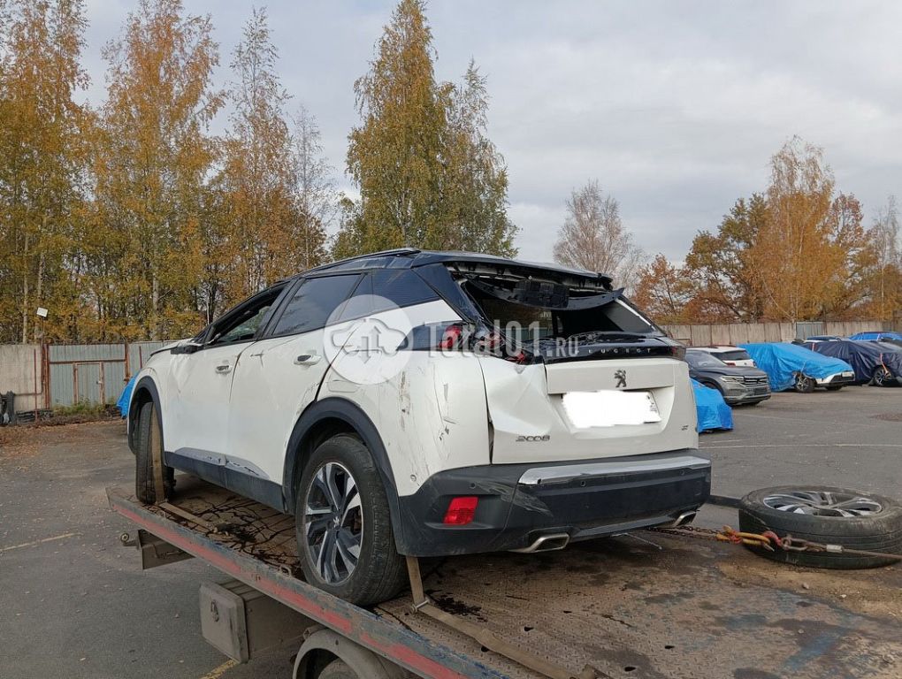 Фото Peugeot 2008 100