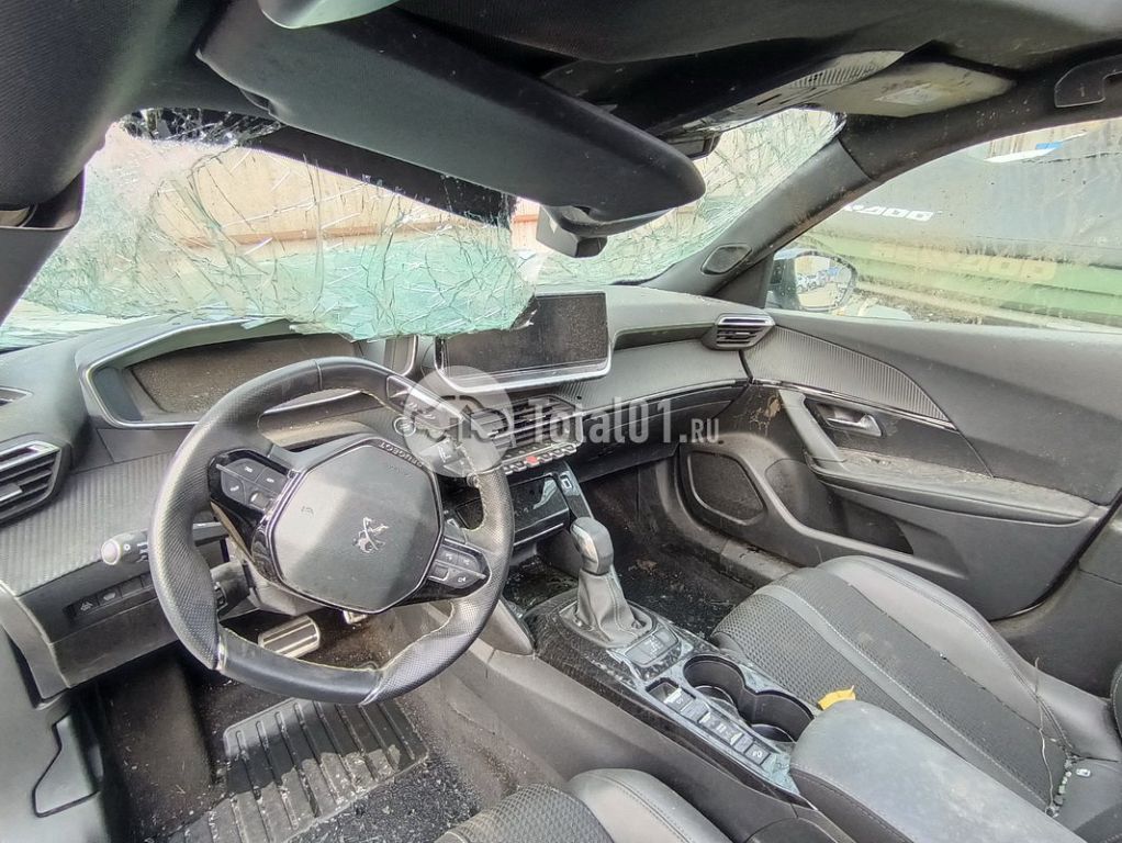 Фото Peugeot 2008 124