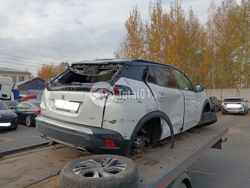 Фото Peugeot 2008 144