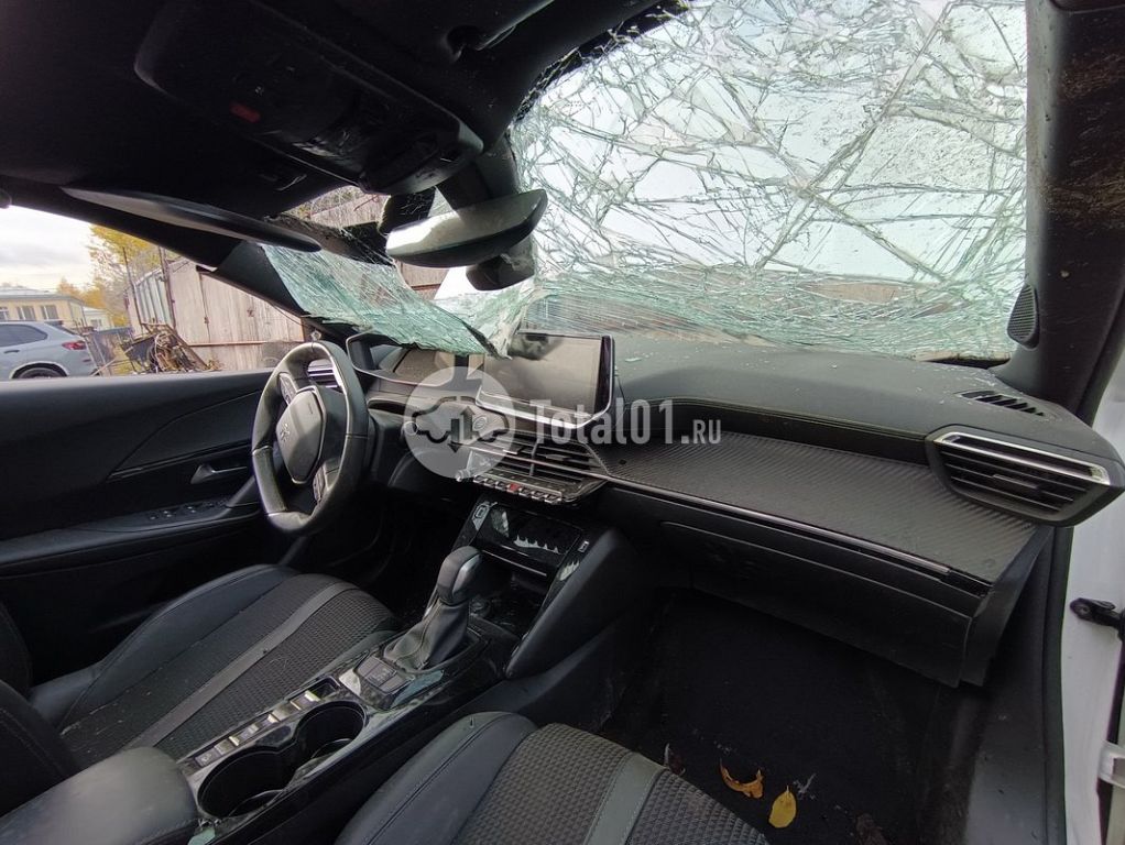 Фото Peugeot 2008 184