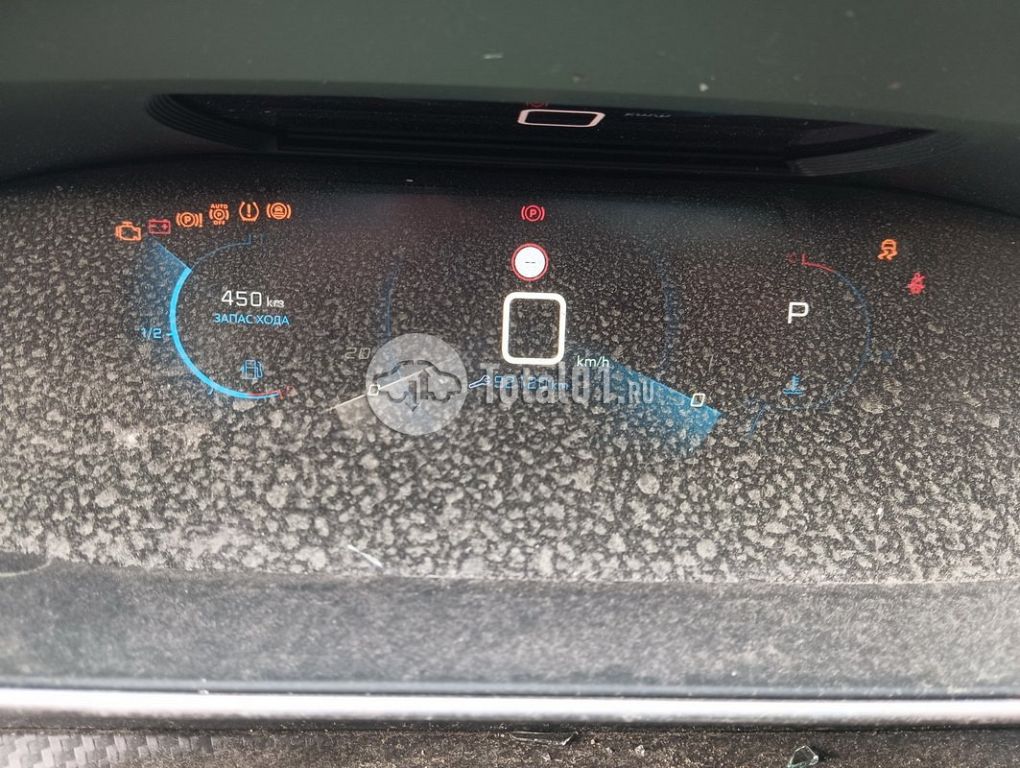 Фото Peugeot 2008 194