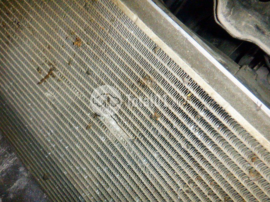 Фото Hyundai Solaris 314