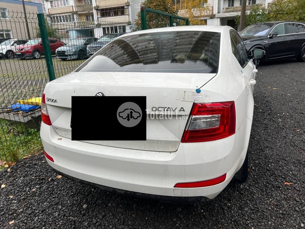 Фото Skoda Octavia 8