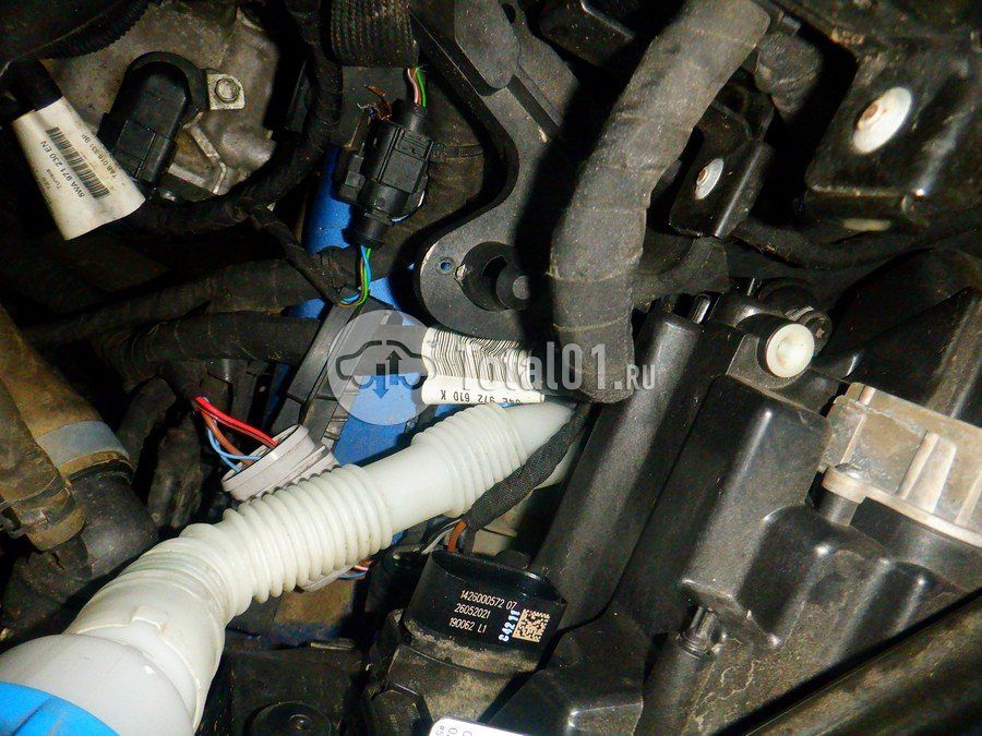 Фото Skoda Octavia 240