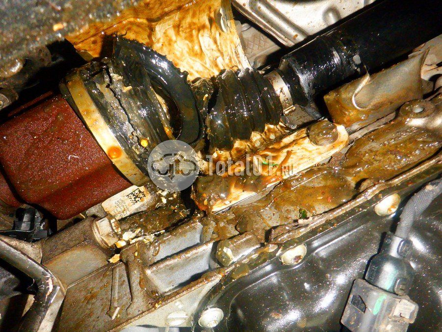 Фото Skoda Octavia 350