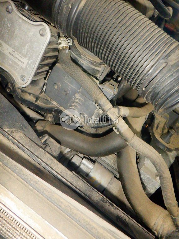 Фото Volkswagen Jetta 238