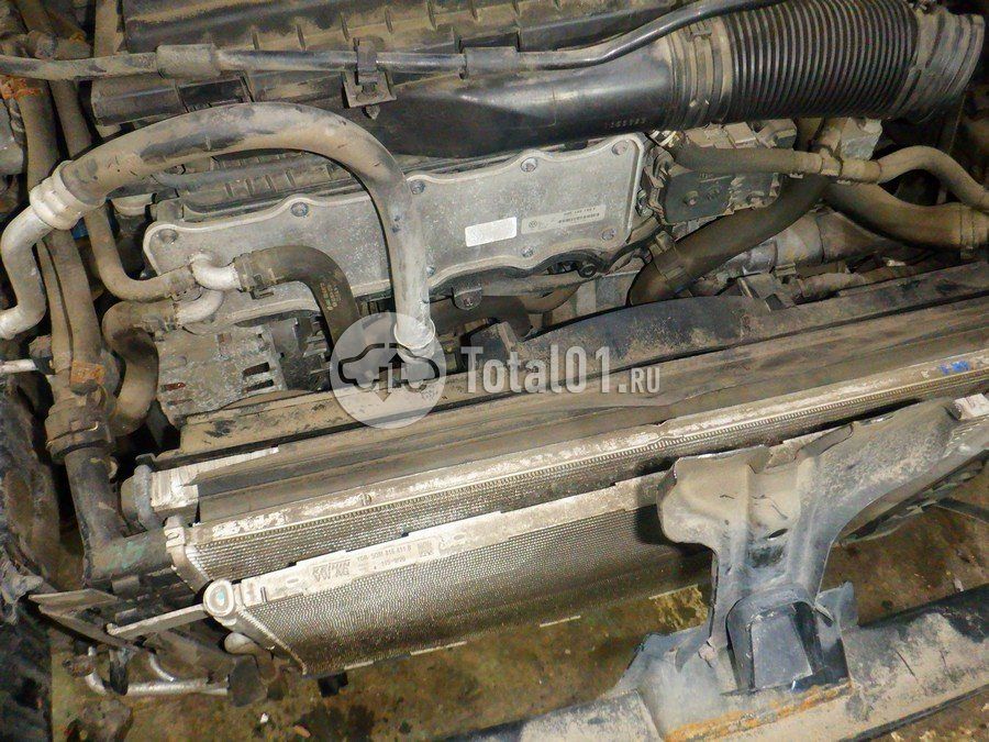 Фото Volkswagen Jetta 246