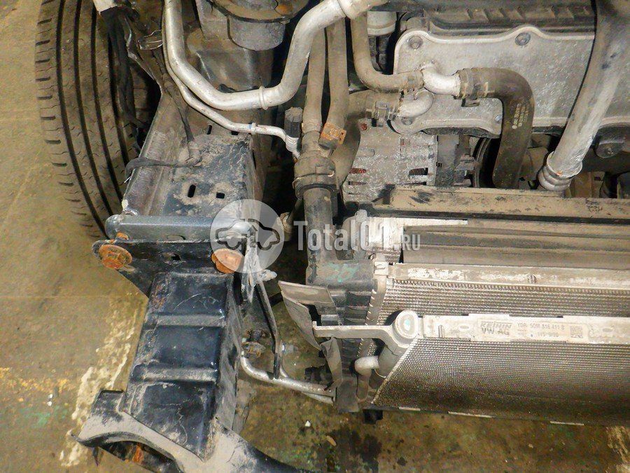 Фото Volkswagen Jetta 252