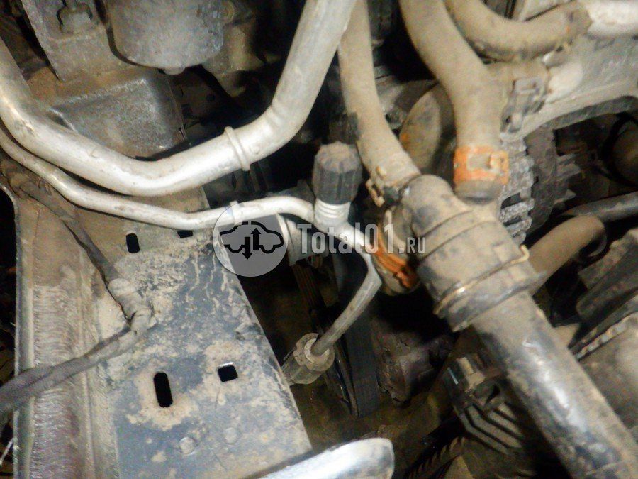 Фото Volkswagen Jetta 282