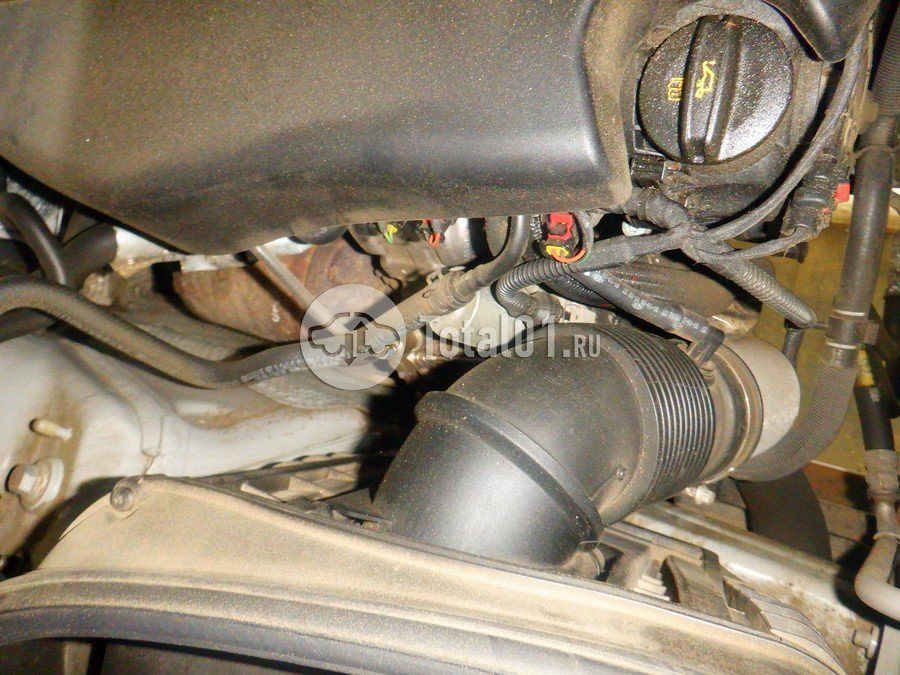 Фото Porsche Macan 200