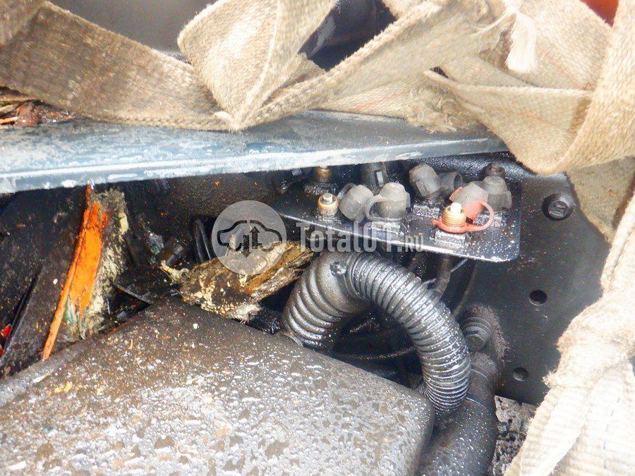 Фото MAN TGX 196