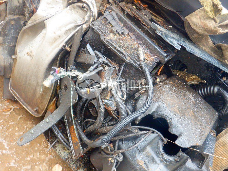 Фото MAN TGX 206