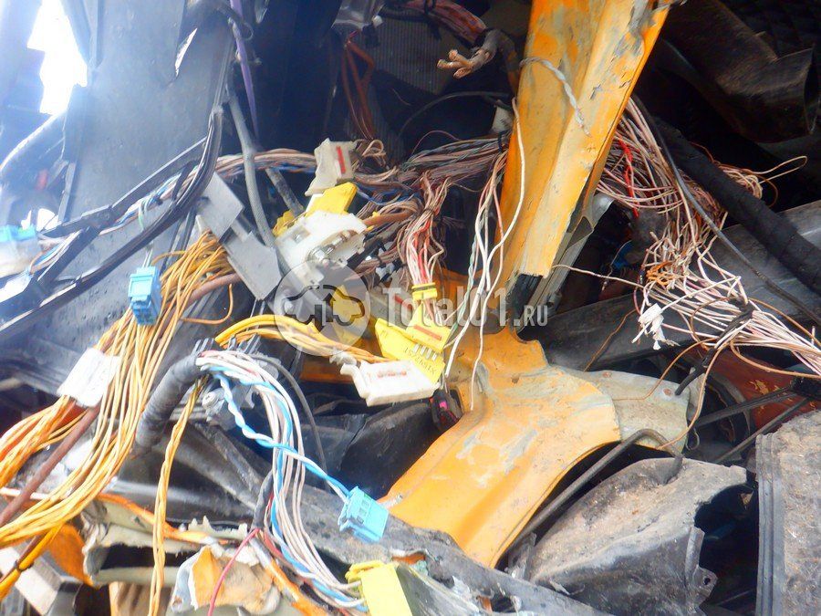 Фото MAN TGX 260