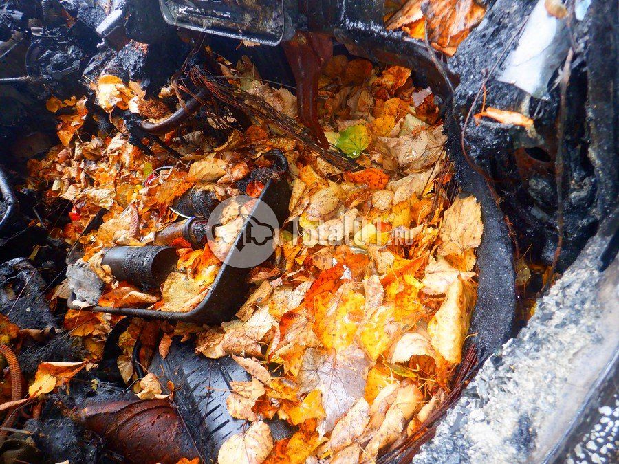 Фото FIAT Ducato 38