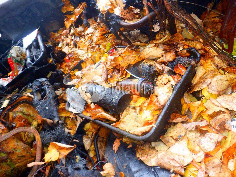 Фото FIAT Ducato 40