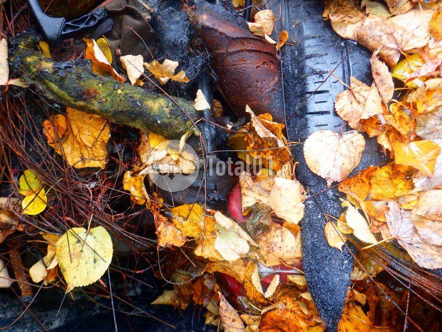 Фото FIAT Ducato 42