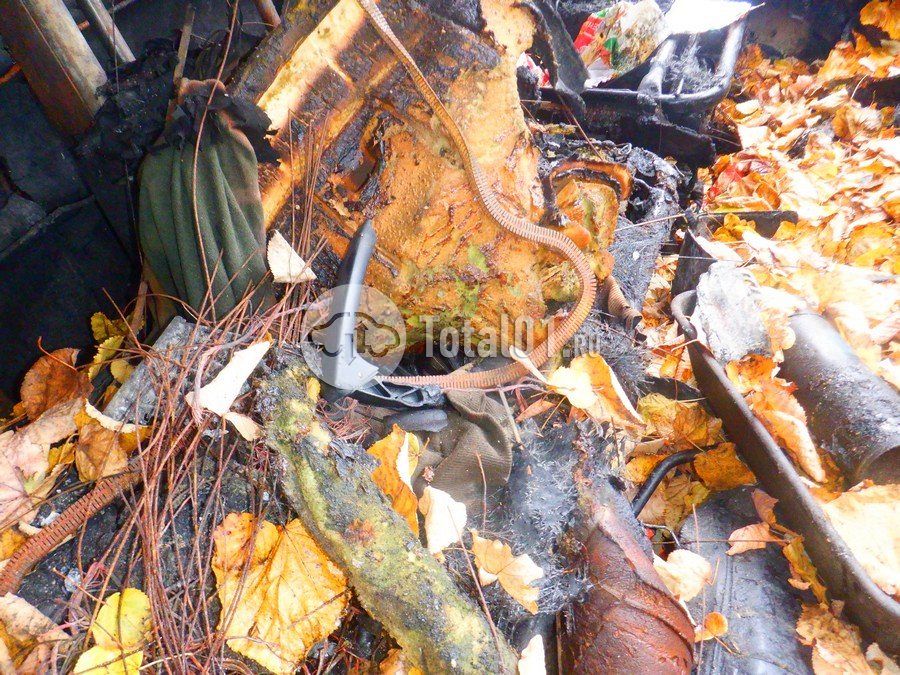 Фото FIAT Ducato 48