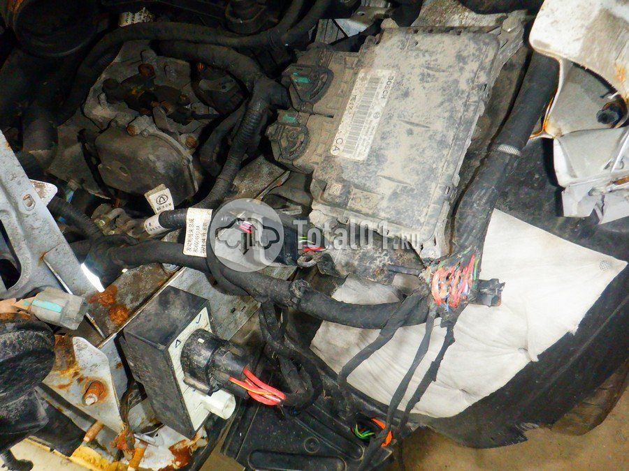 Фото Chery Tiggo 7 Pro 196