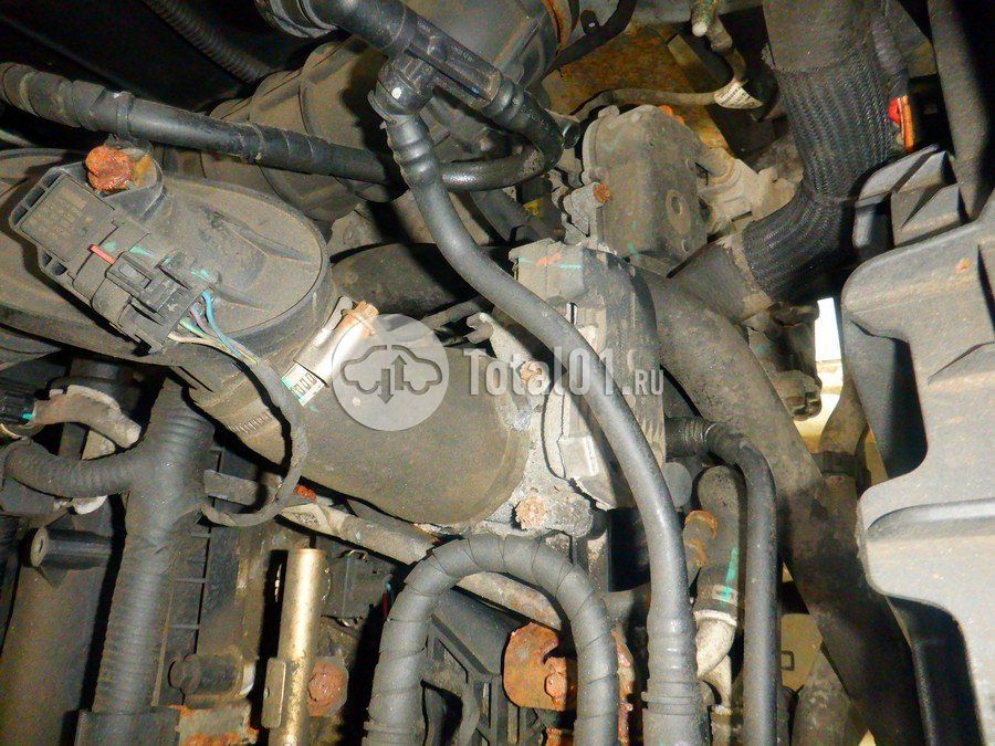 Фото Chery Tiggo 7 Pro 236