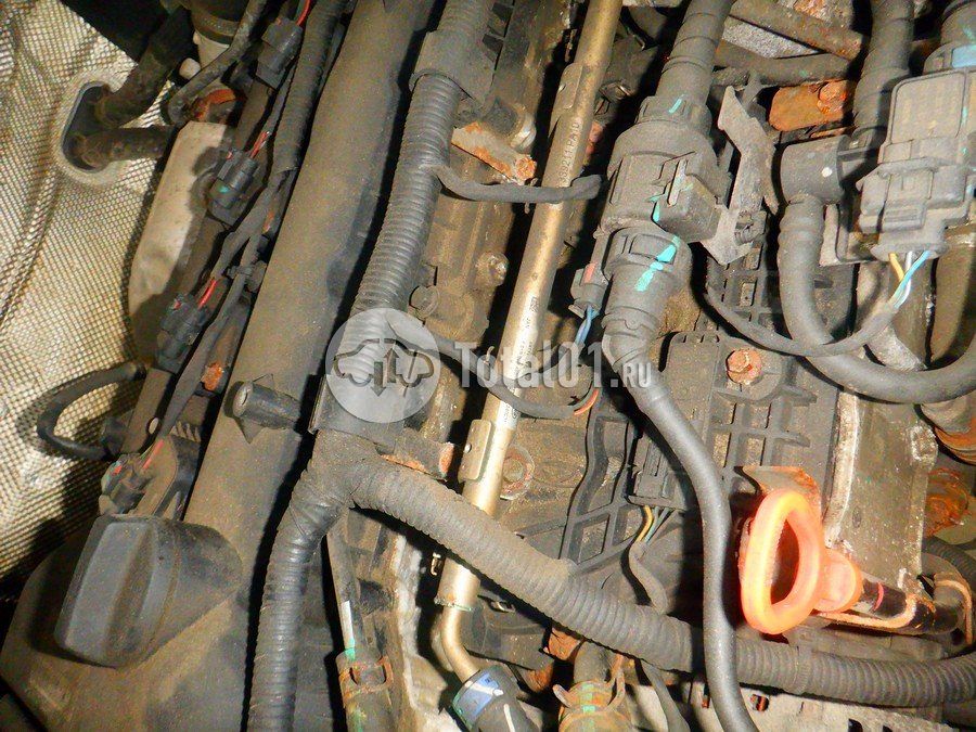 Фото Chery Tiggo 7 Pro 240