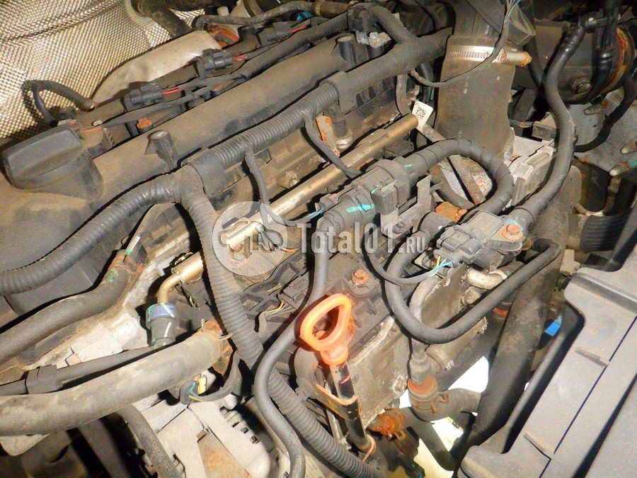 Фото Chery Tiggo 7 Pro 262