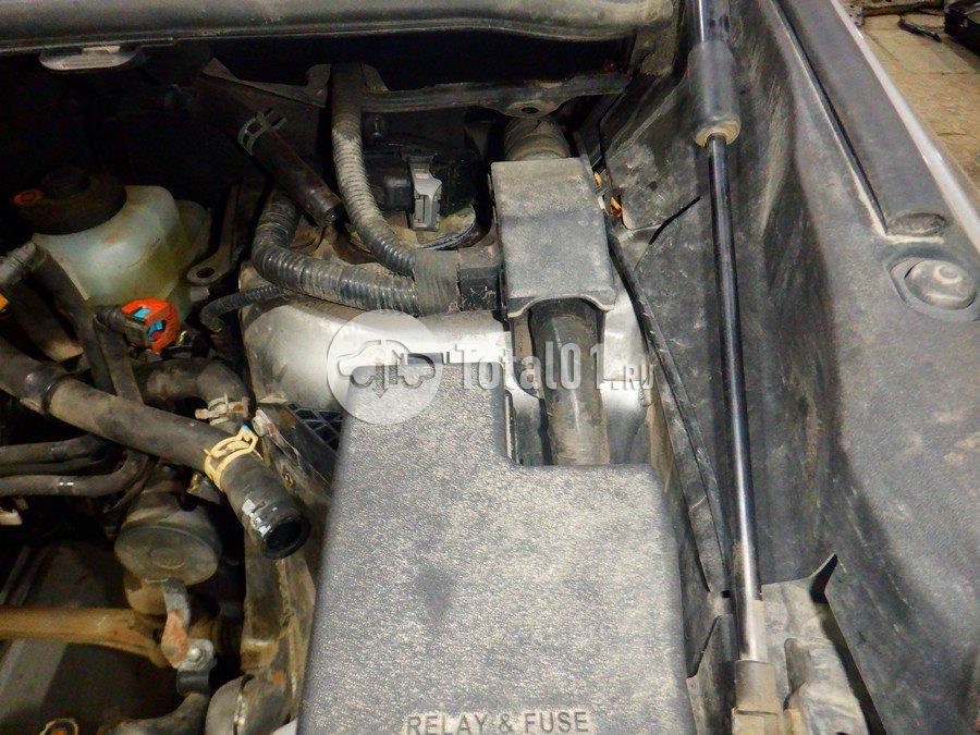 Фото Lexus NX 172