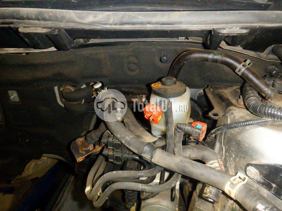 Фото Lexus NX 174